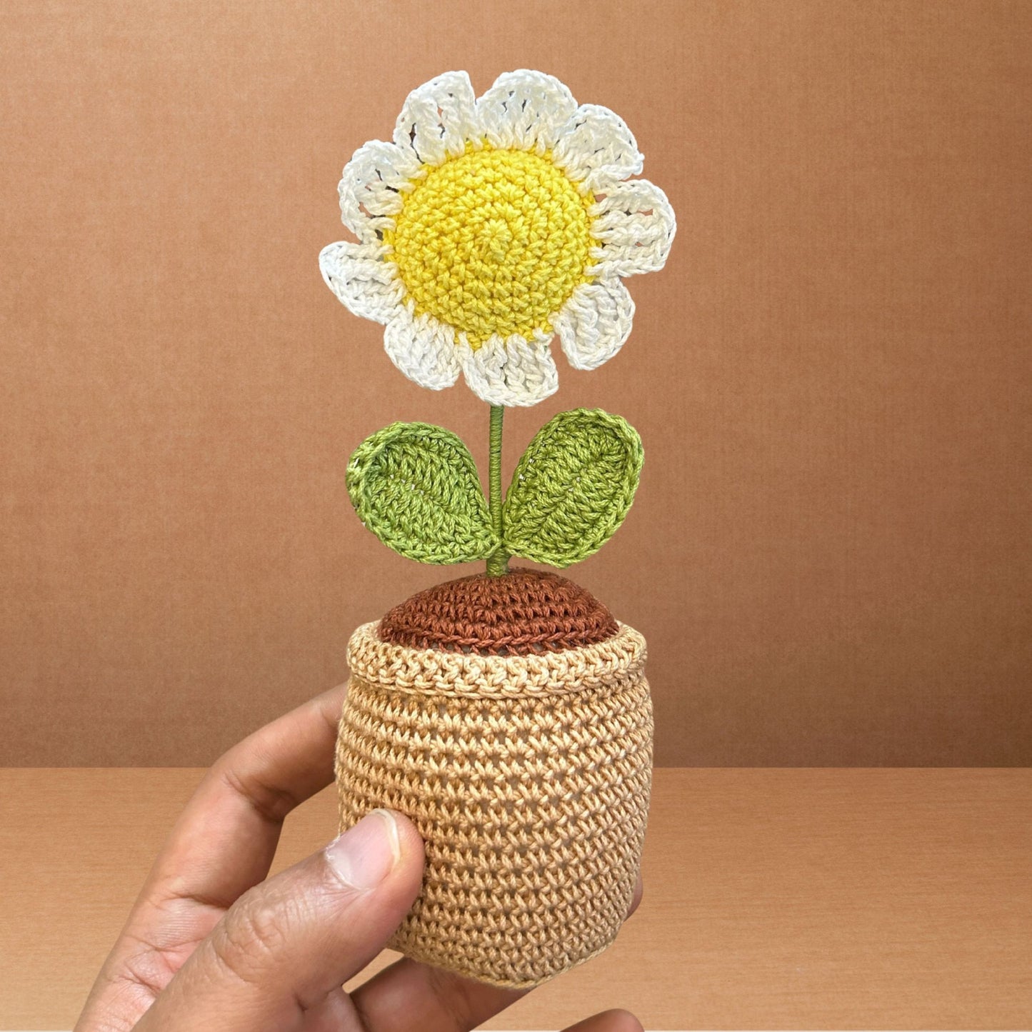 Crochet Daisy Pot