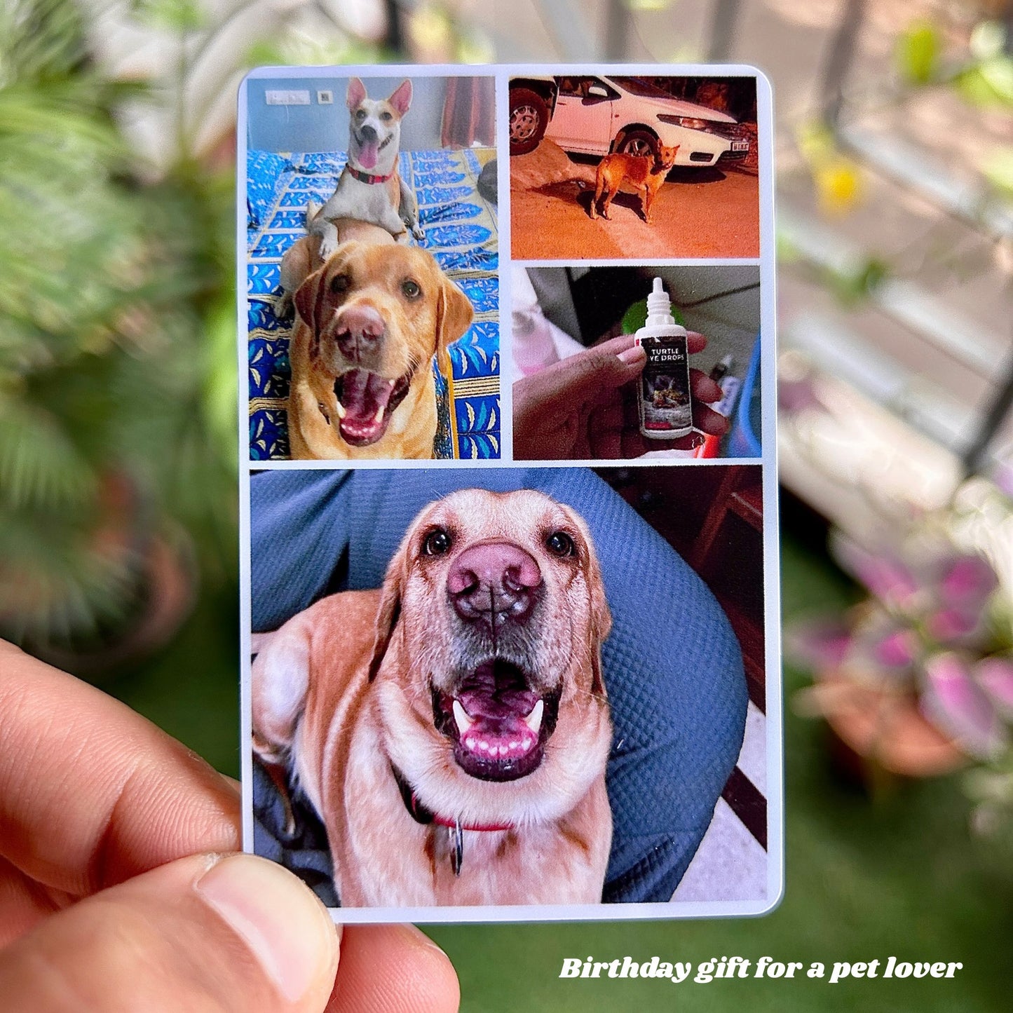 Photo Wallet Card – Personalised Photo Card Gift