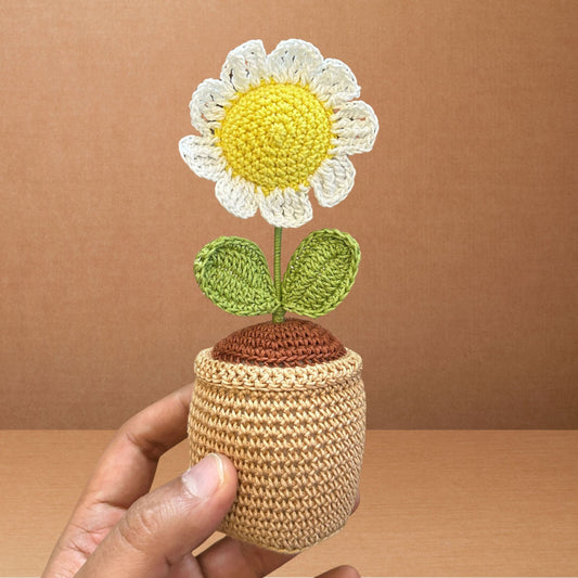 Crochet Daisy Pot